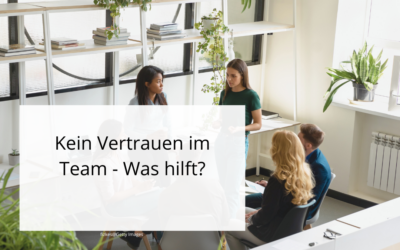 Kein Vertrauen im Team: Eine Fallstudie